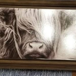 Highland cow picture*Reserved for Crystal Dodd